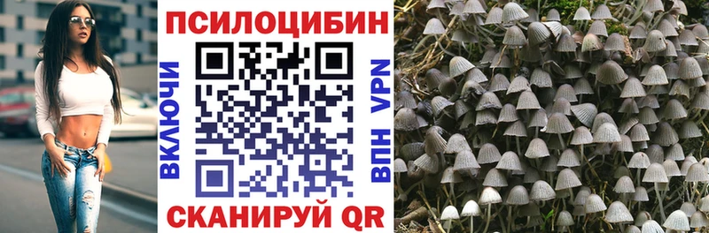 Галлюциногенные грибы Psilocybine cubensis купить мега ссылки Удачный